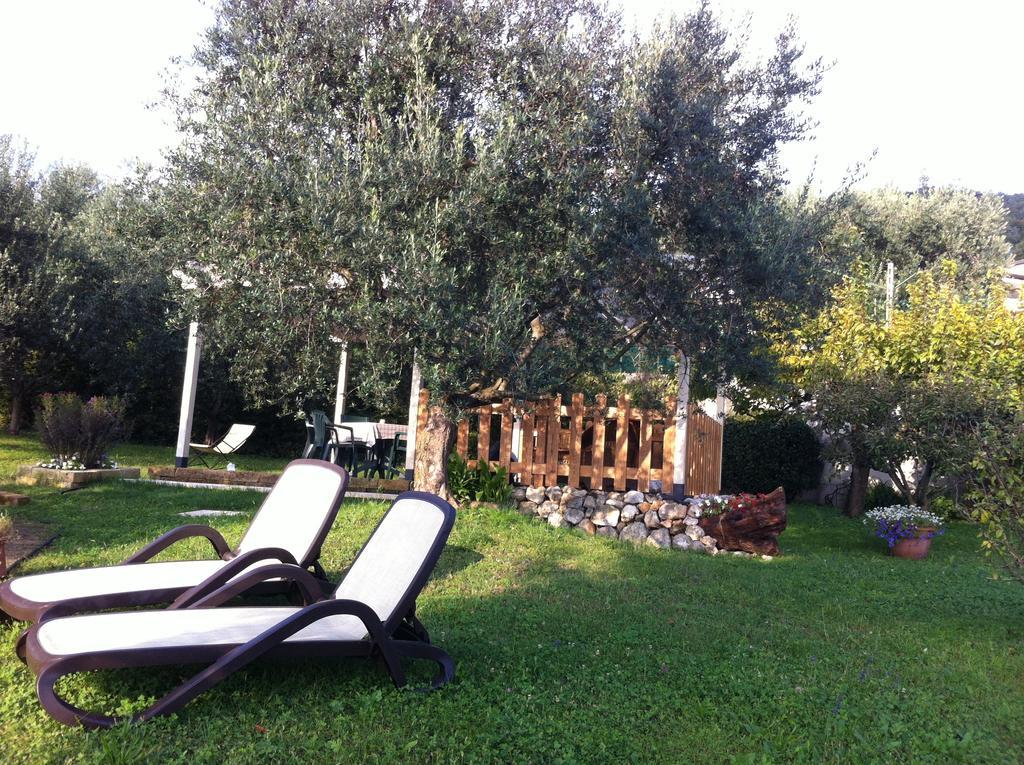 Agriturismo Casa Rosa 베로나 외부 사진