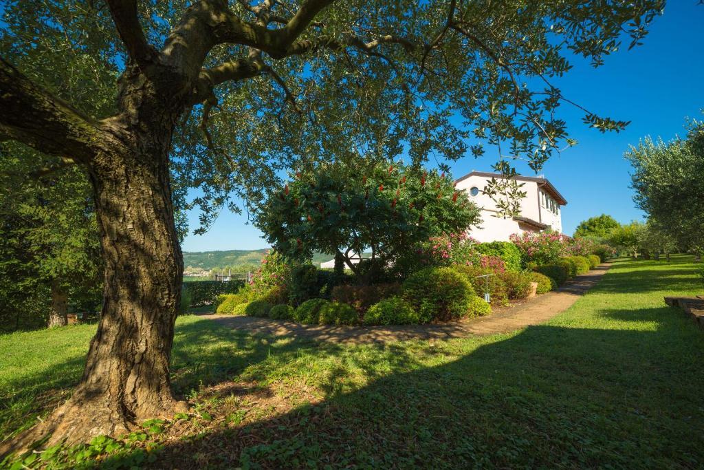 Agriturismo Casa Rosa 베로나 외부 사진